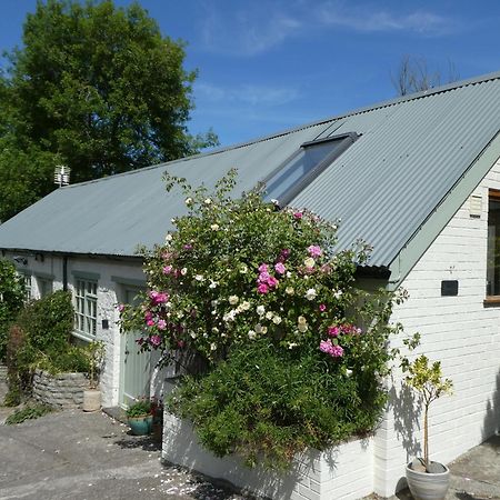 The Garden Room Dundon Екстериор снимка
